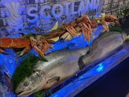 A cabinet showcasing Scottish fish and seafood. 