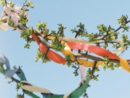 Award winning photography 'The Music of What Happens' by Geraldine McLure, BA (Hons) Photography showing tree branches with ribbons wrapped around them. 
