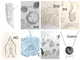 Eight Secondary Schools Jewellery Design 