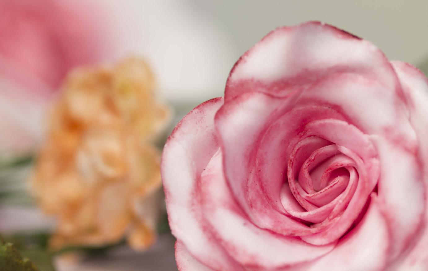 Introduction to Sugar Flowers ...