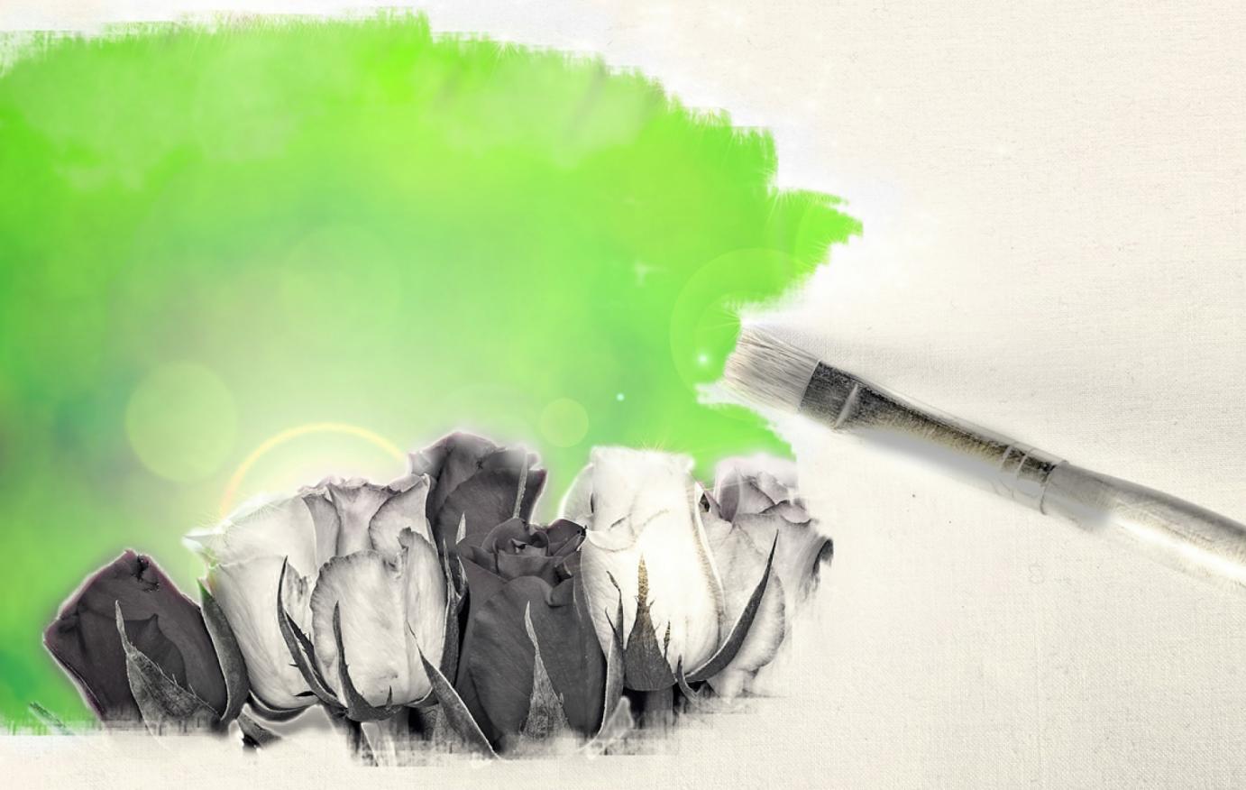 Advanced Botanical Drawing And Painting ...