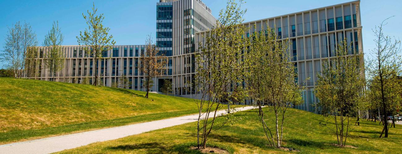 Innovation for Large and Public Sector Organisations