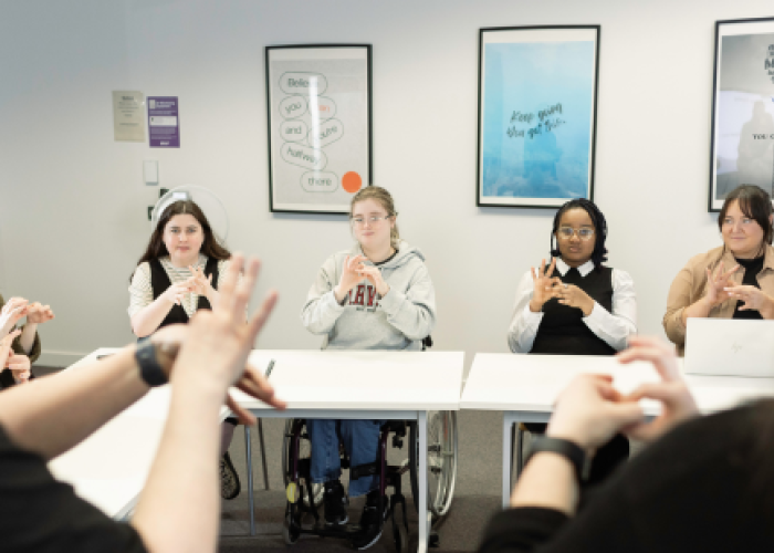 British Sign Language (BSL)