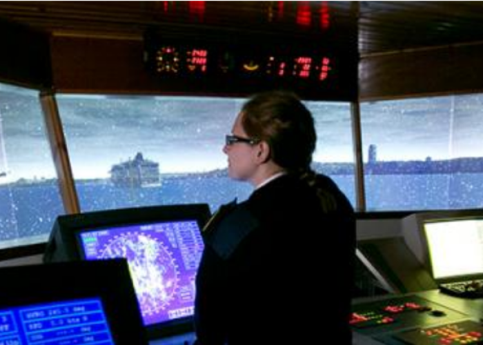 Navigation Aids, Equipment and Simulator Training (NAEST) Management
