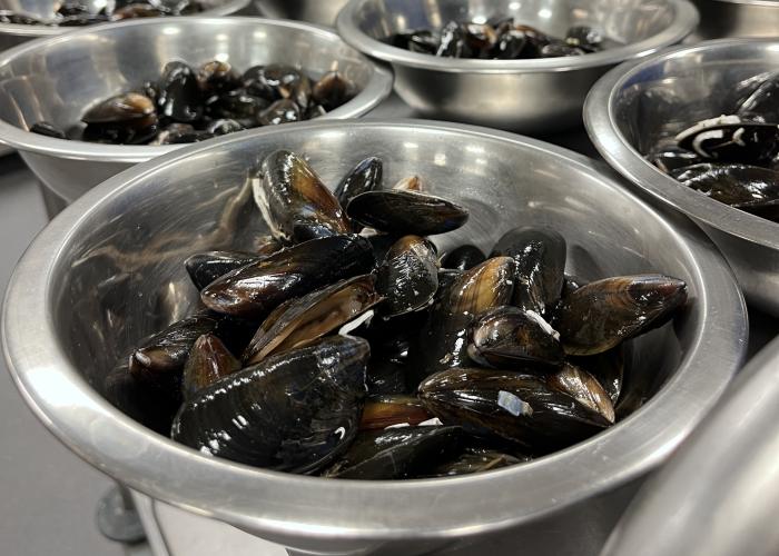 Mussel Talk and Workshop Inspires Future Chefs