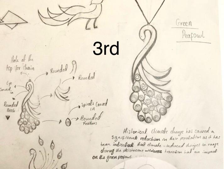 Third Place:  Alizah Nadeem, S3, Bellahouston High School
