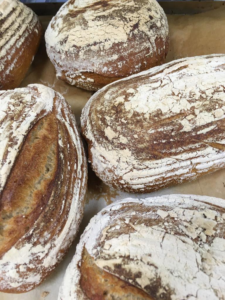 Freshly baked bread from the City Market