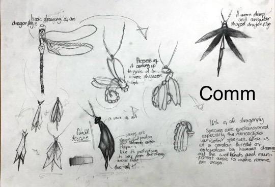 Commended: Austin Tennent, S1, Duncanrig Secondary