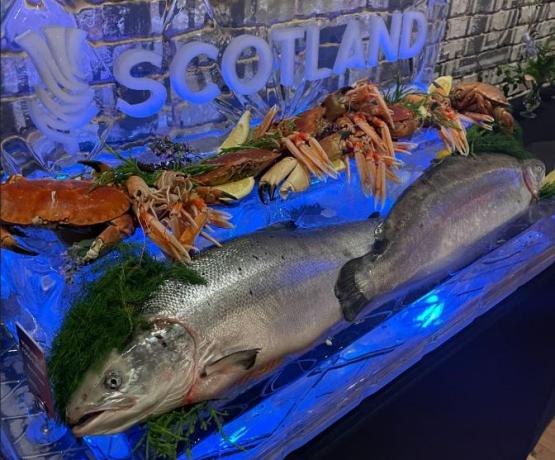 A cabinet showcasing Scottish fish and seafood.