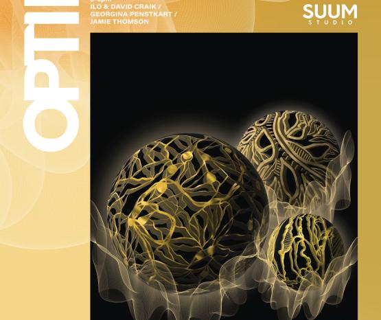 Students shine on landmark OPTIKA creative project