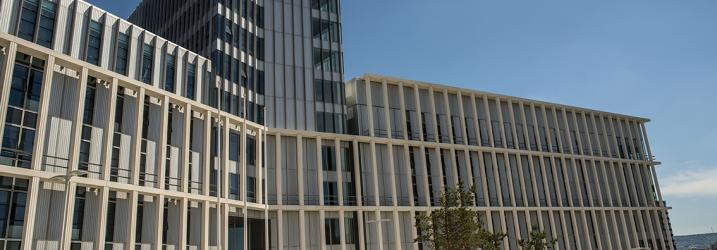 A close up picture of the front of City campus showing the building, trees and stairs.