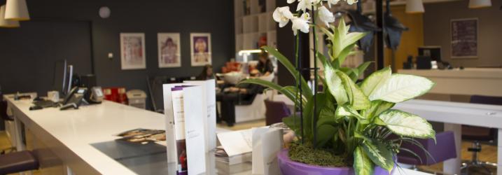 Work Space - Amethyst Salon