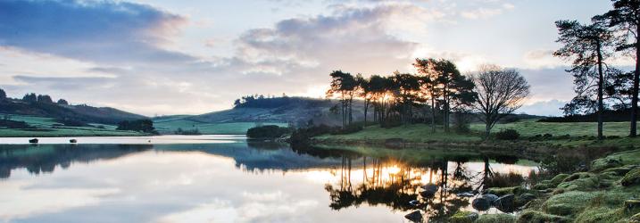 Calming view of a loch.